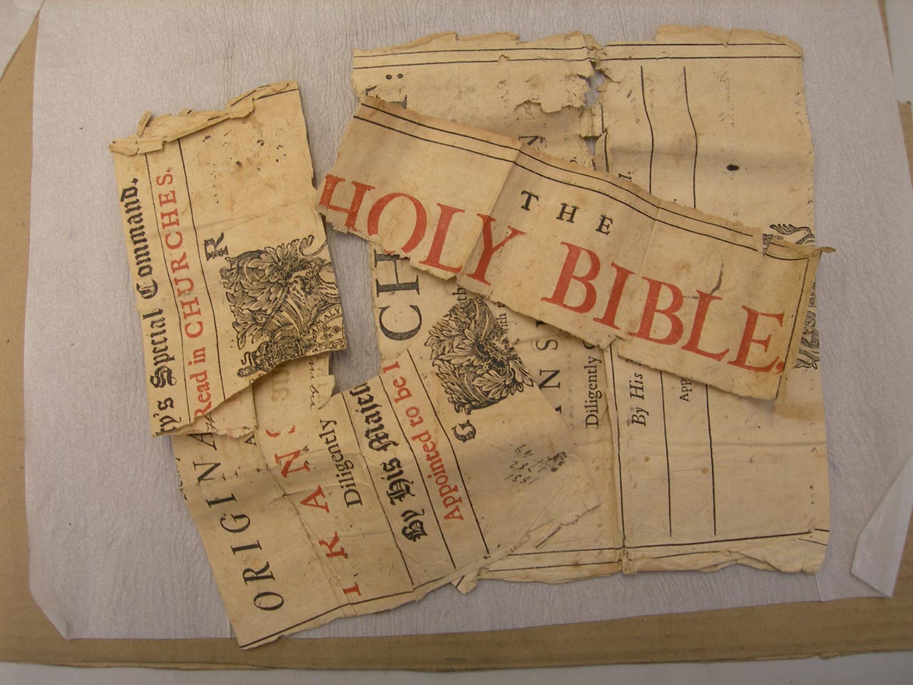 Ripped From the Family Bible