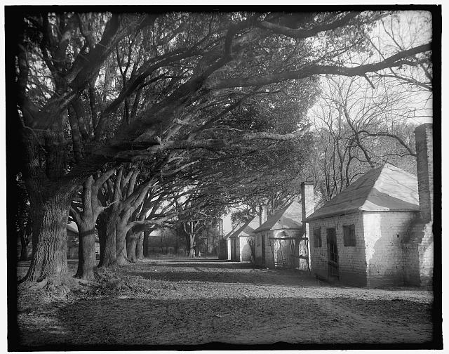 CSI: Old Virginia: Coroners Edition