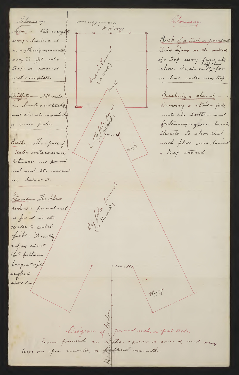 Don’t Bush My Stand