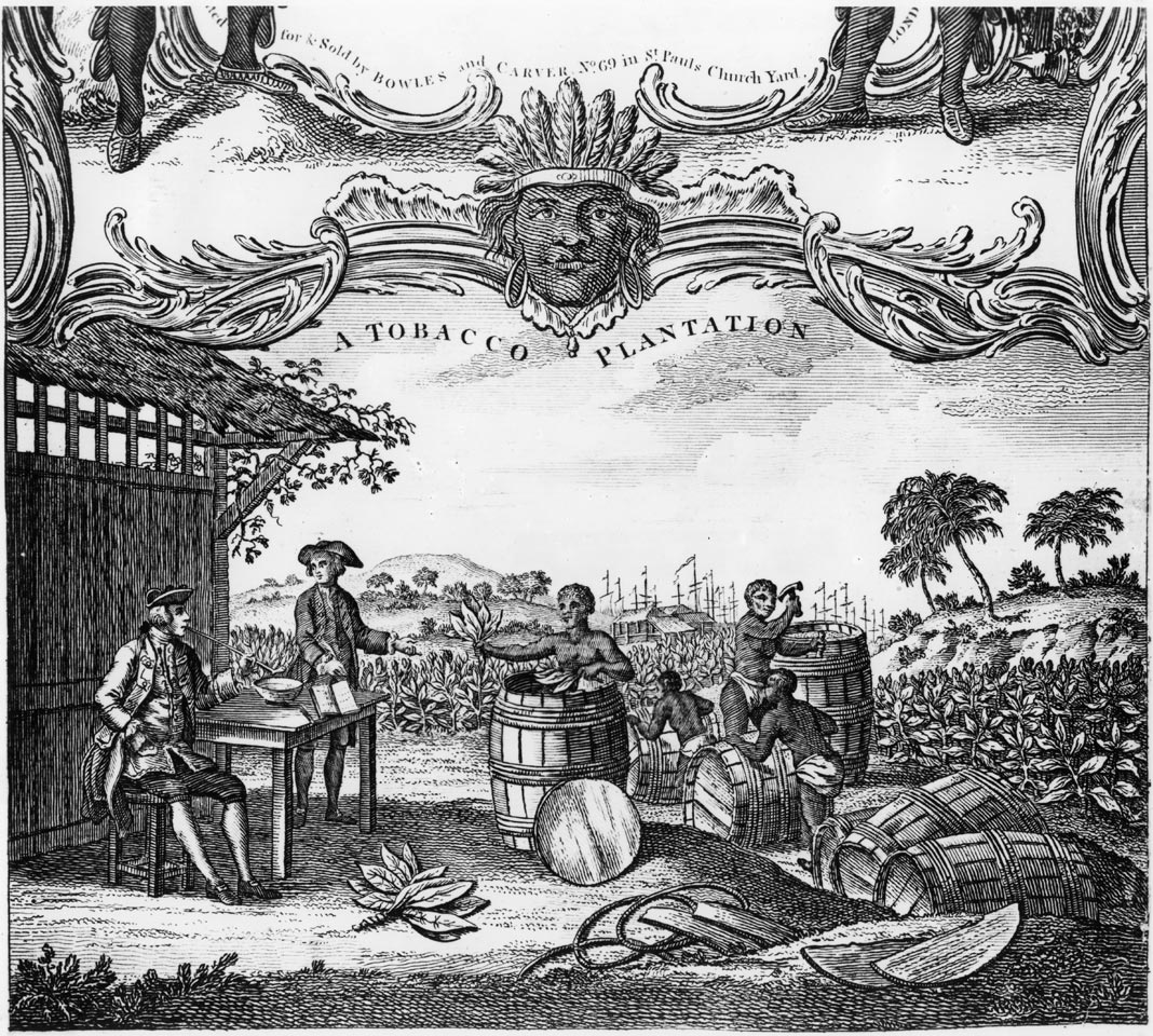 Tobacco Census: Fixing the "Frauds and Mischiefs" of the Tobacco Trade