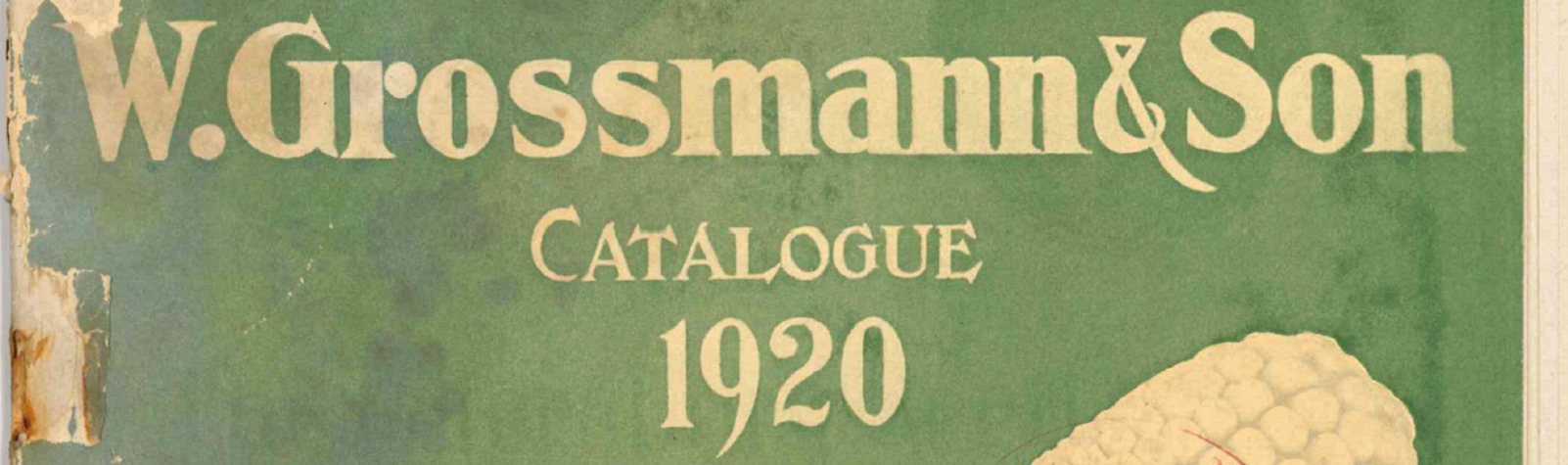 “A Prosperous Season”: The 1920 W. Grossmann and Son’s Seed Catalog