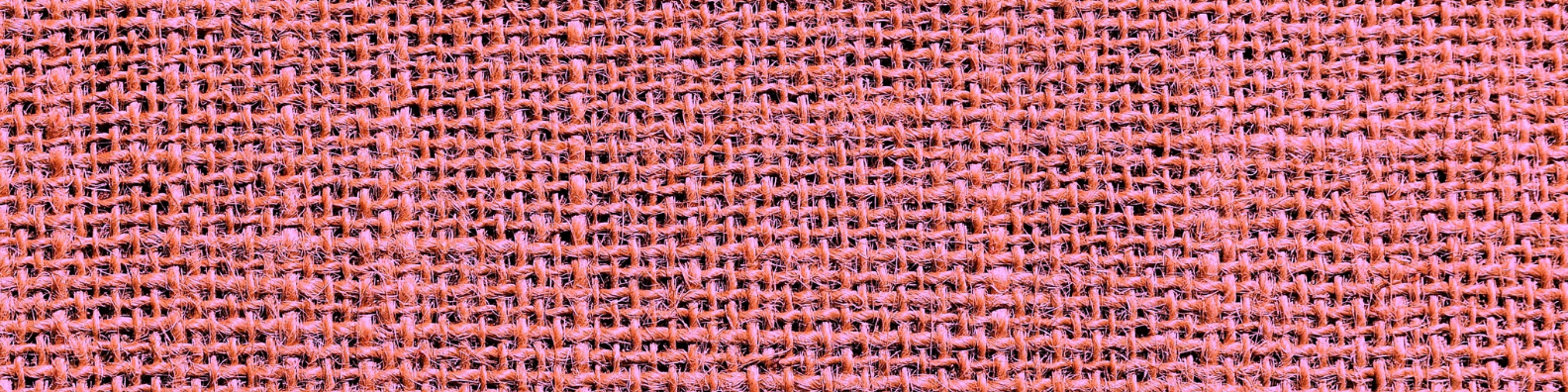 Celebrating National Poetry Month: David Huddle