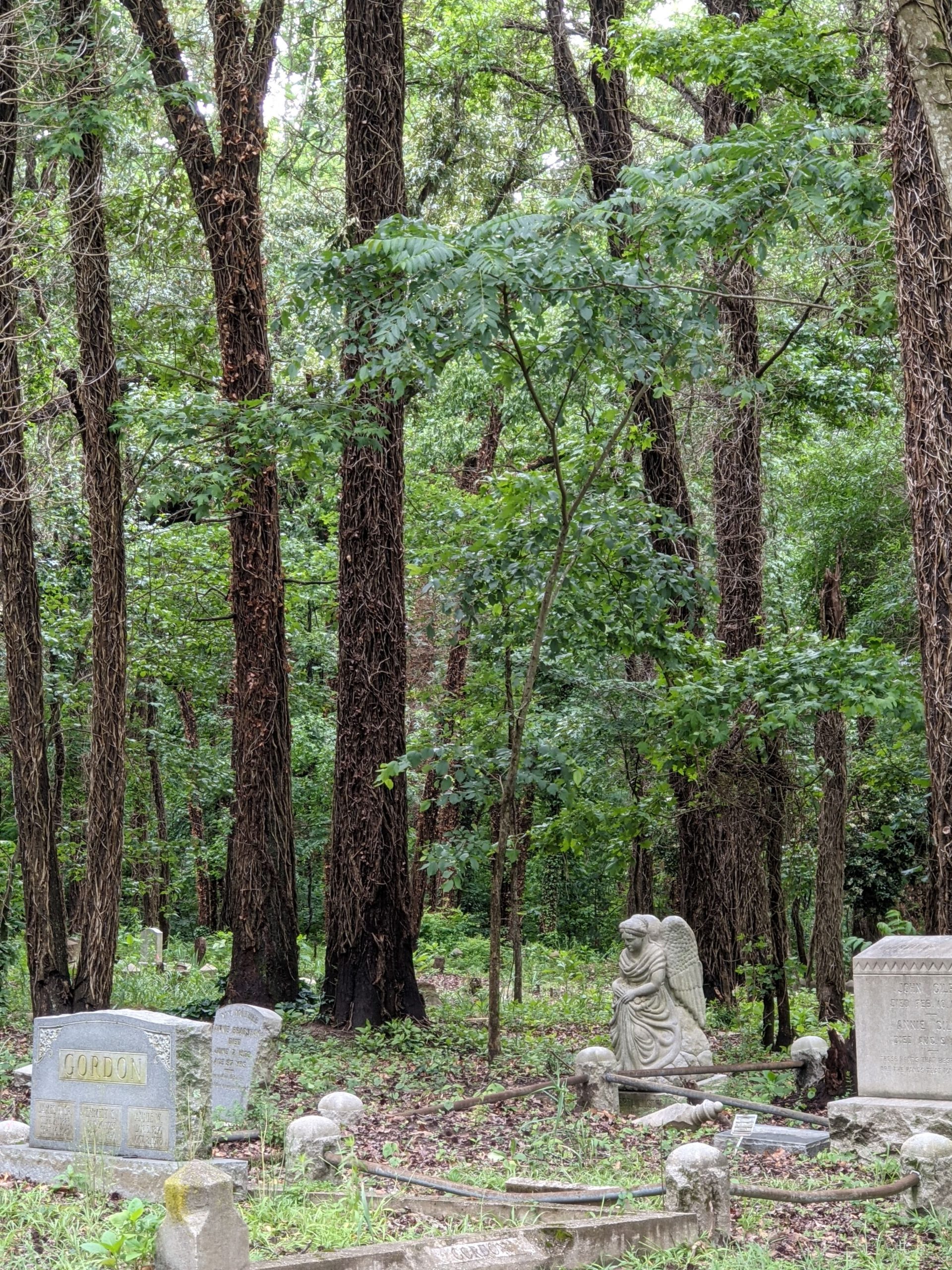 History is Evergreen and Ever-Evolving