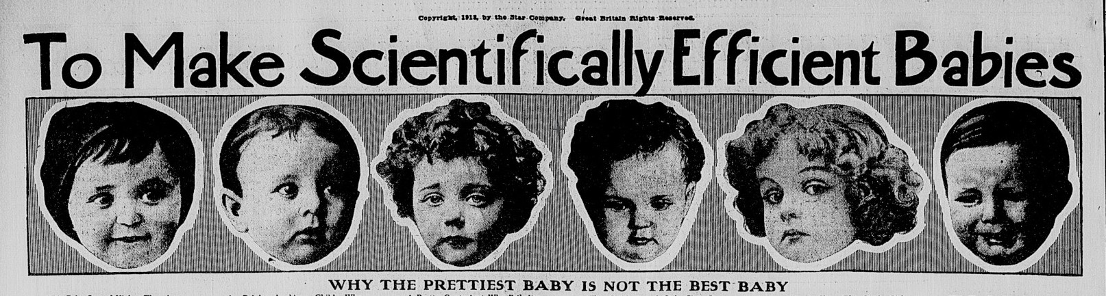 “Will your stock or your children carry off prizes at the Fair…?”