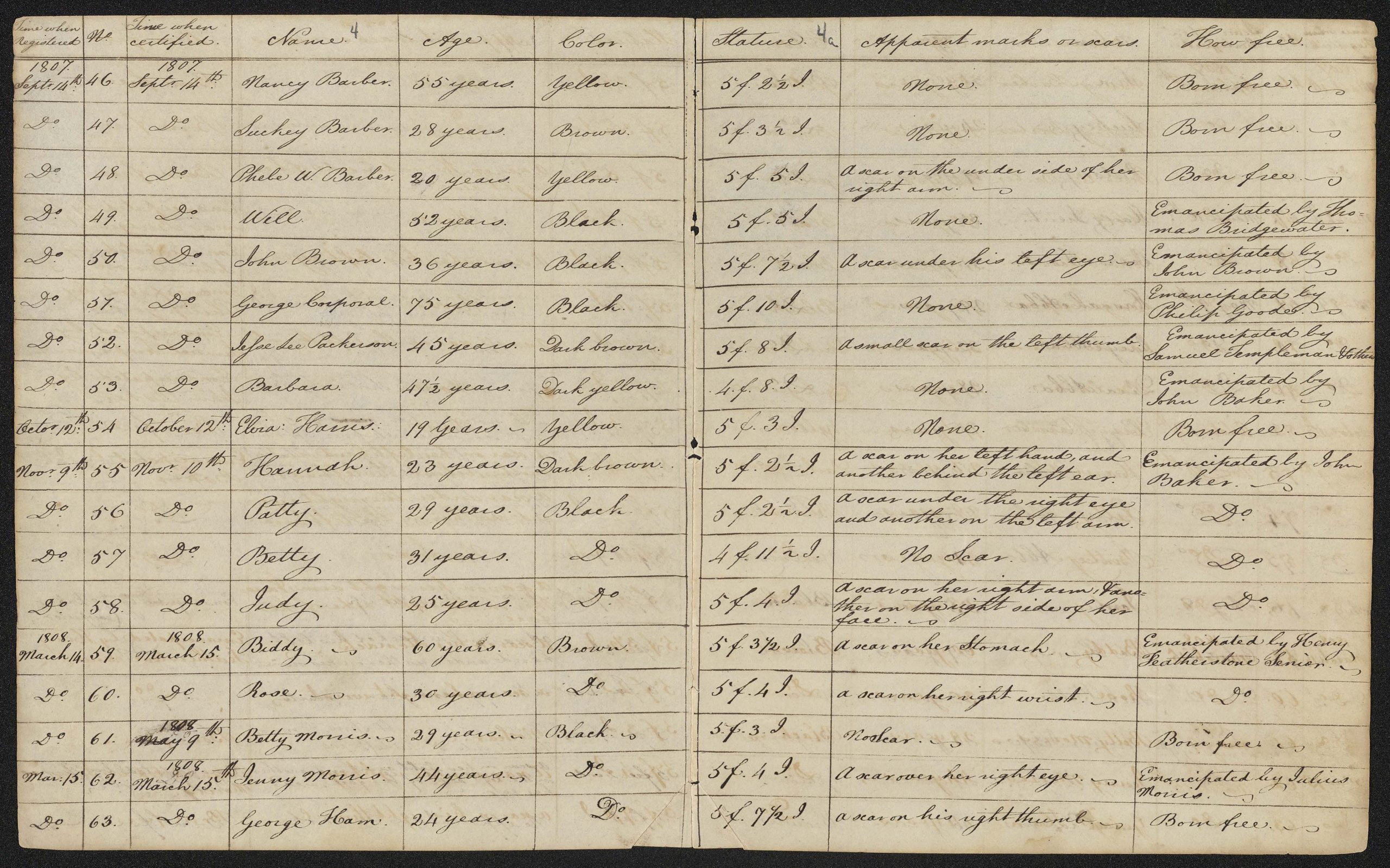 “Free Negro Registers” from Virginia Untold Now Available on From the Page