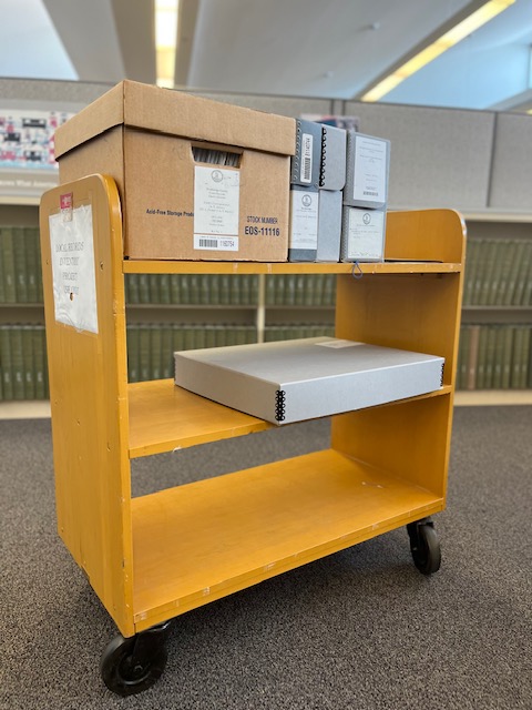 Who Do You Think You Are?