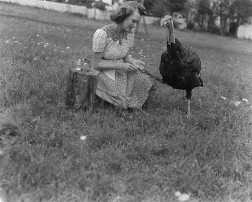 Random Reference: TurkeyFest – It’s a Festival for the Turkey!