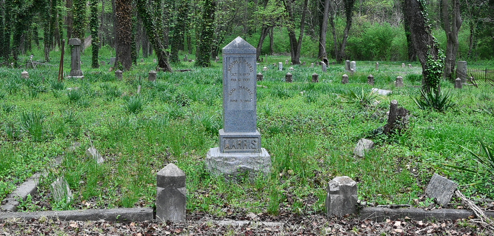 In Search of Family: The Story of Luversa Jones