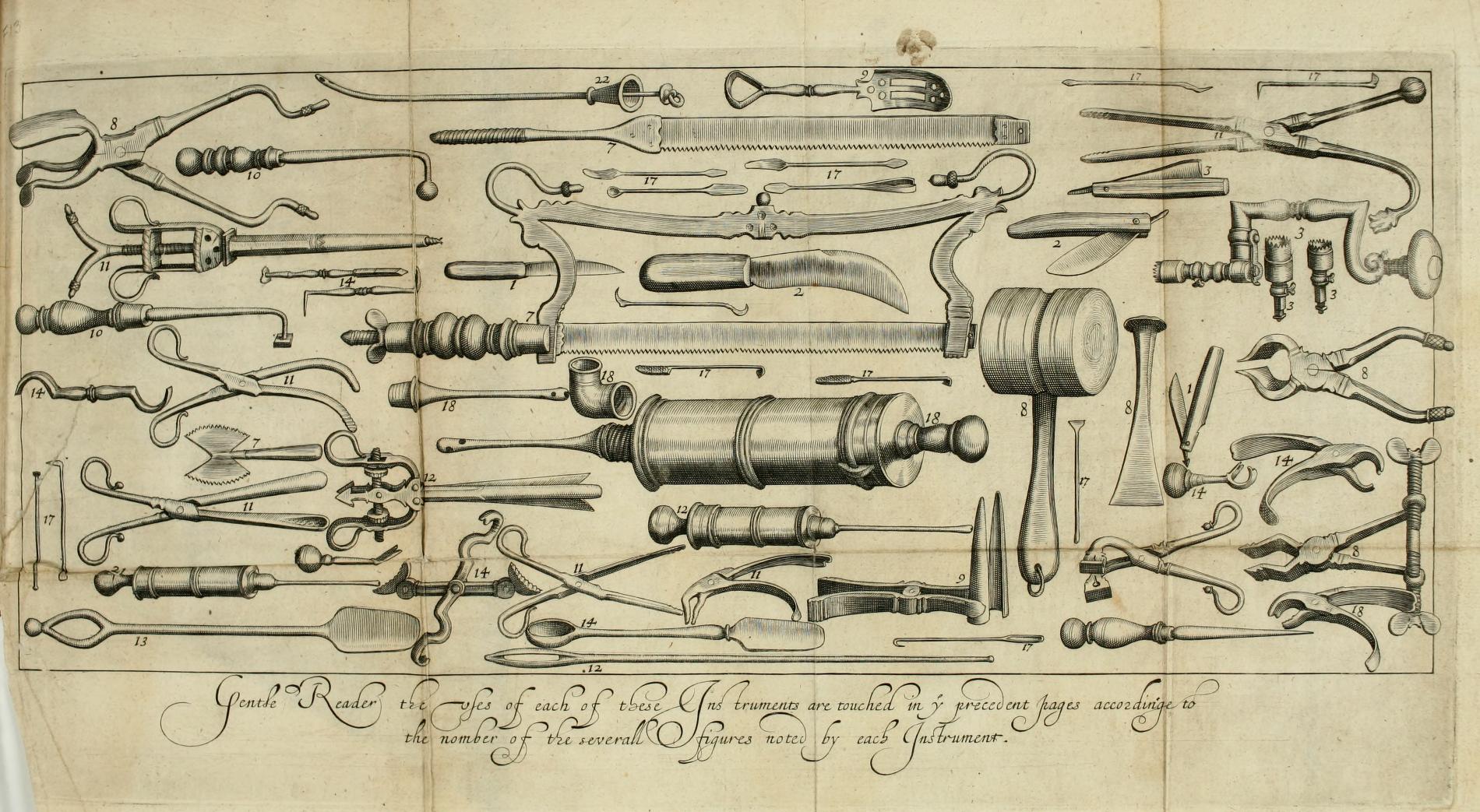 Doctor, Poisoner, Governor, Rebel: John Pott, America’s “Founding Physician”