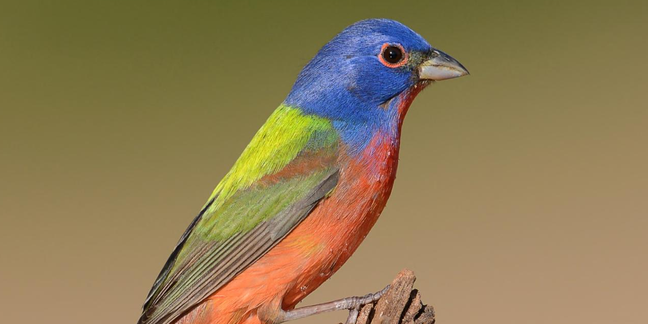 New Books – May 2024