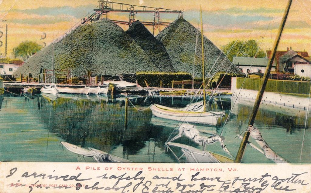 Ride the Waves! Fight Pirates! In the Oyster Navy!