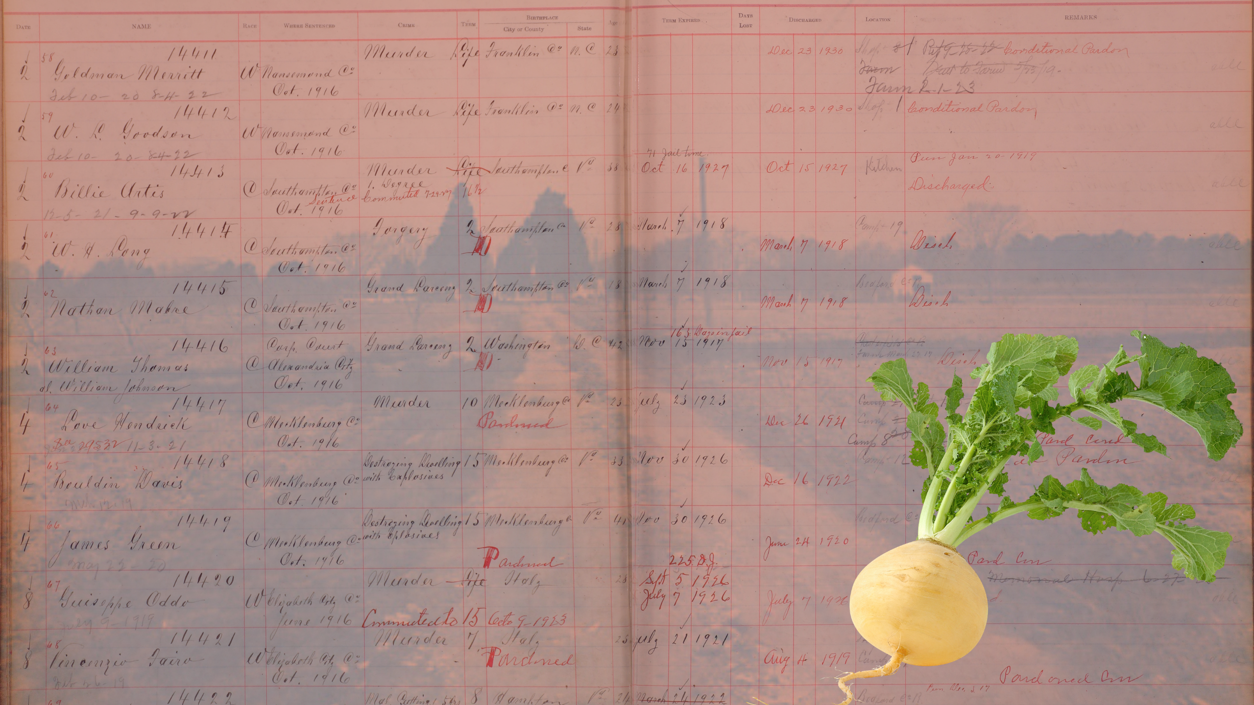 There’s Blood in the Salad Part II: The Clean Up