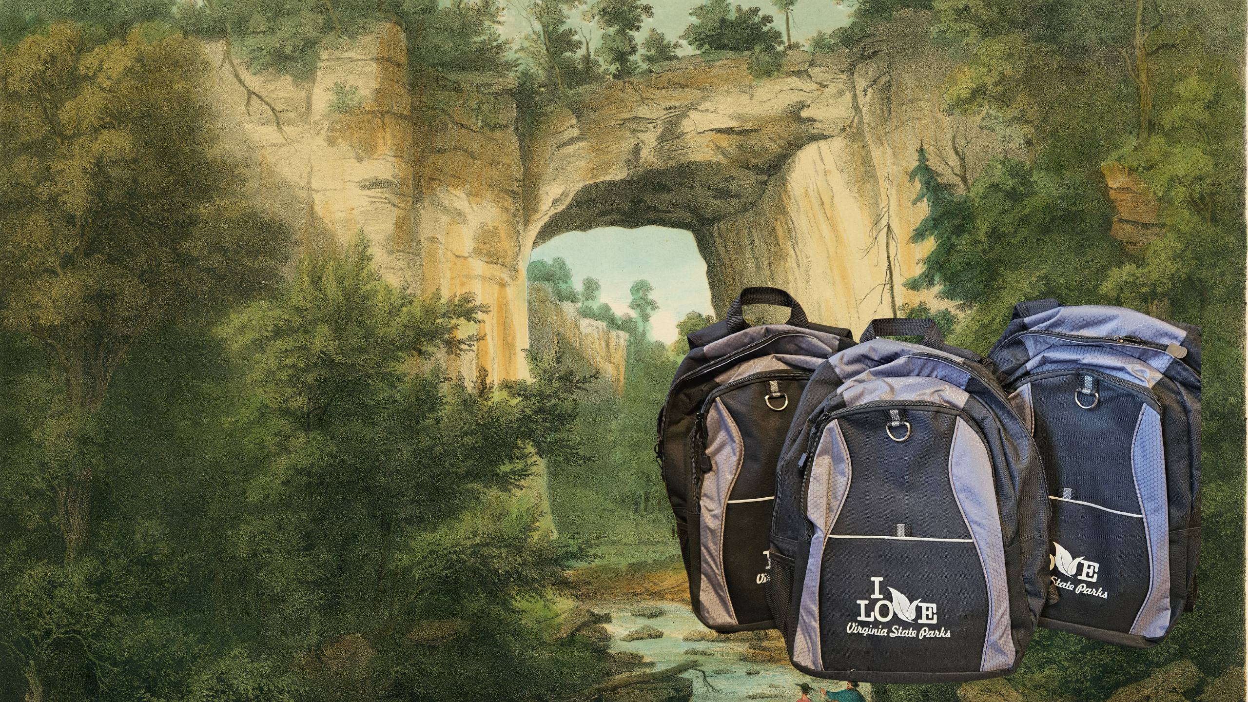 Discover Virginia State Parks with Your Public Library